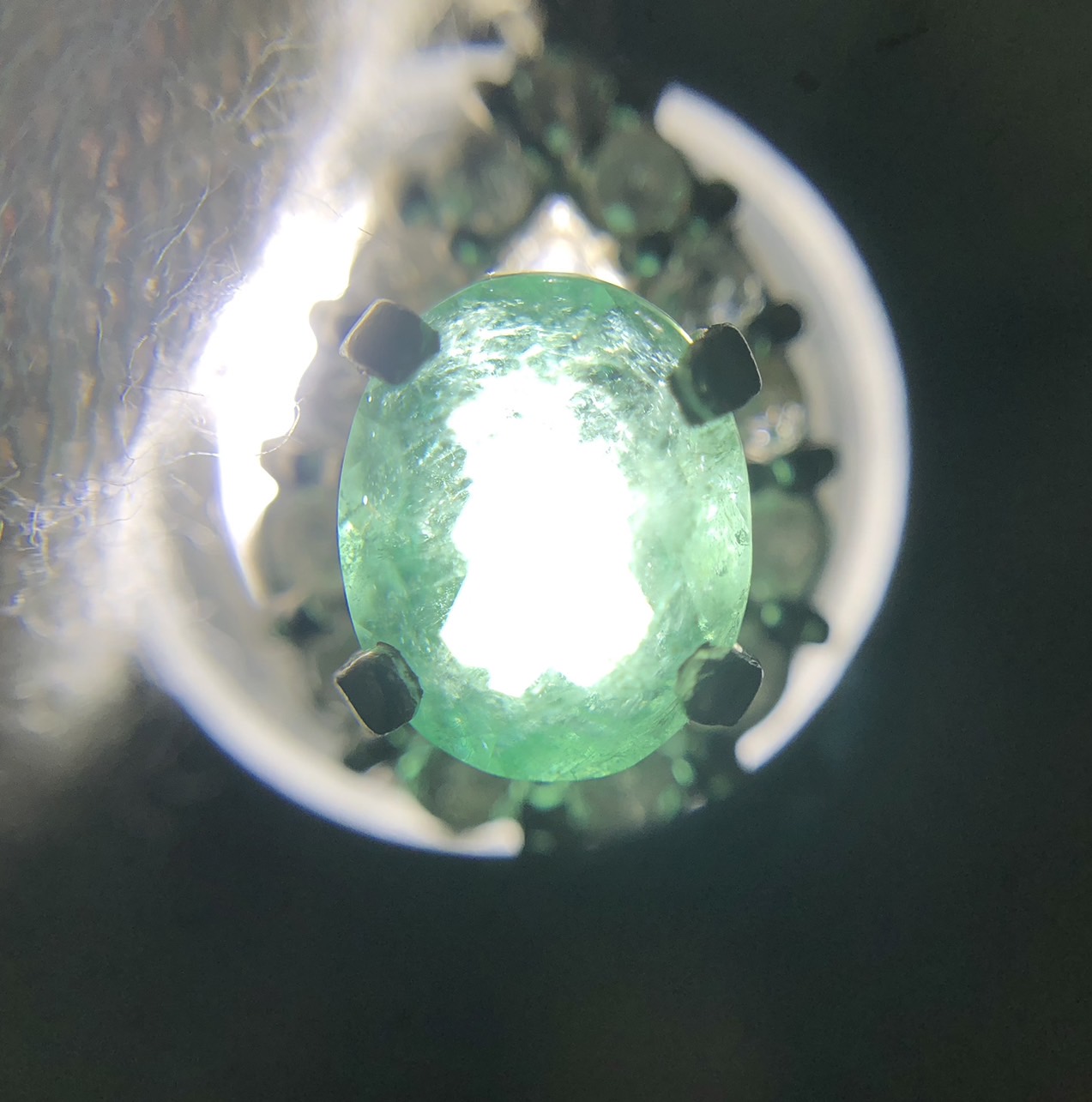 【ZA-9】エメラルドトップ