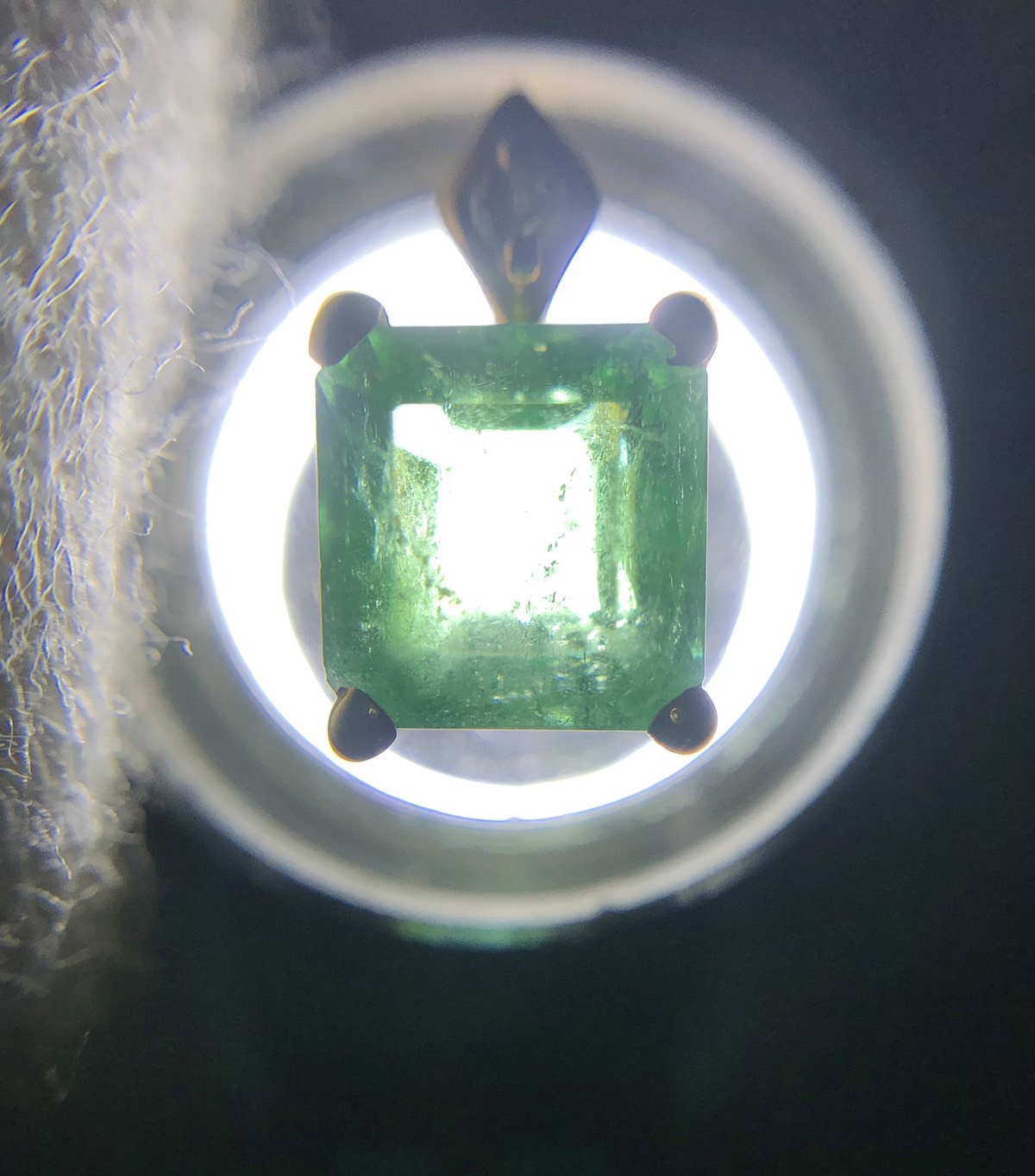 【ZA-92】トップ