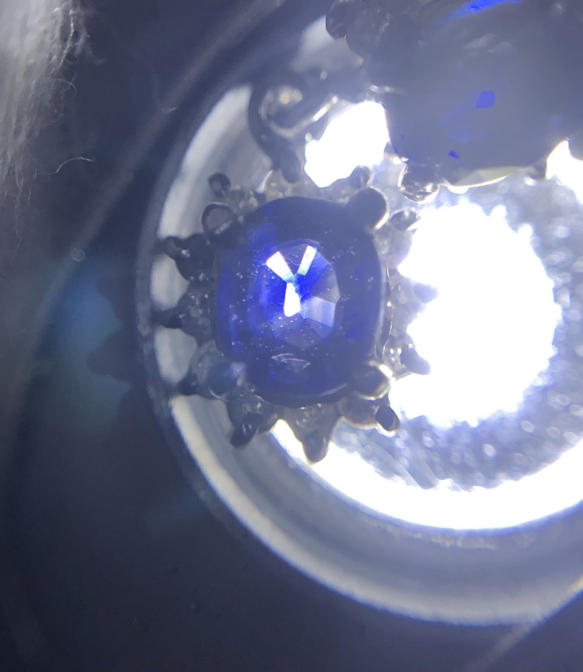 【ZA-96】トップ