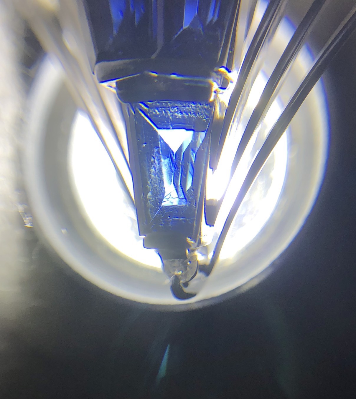 【ZA-97】トップ