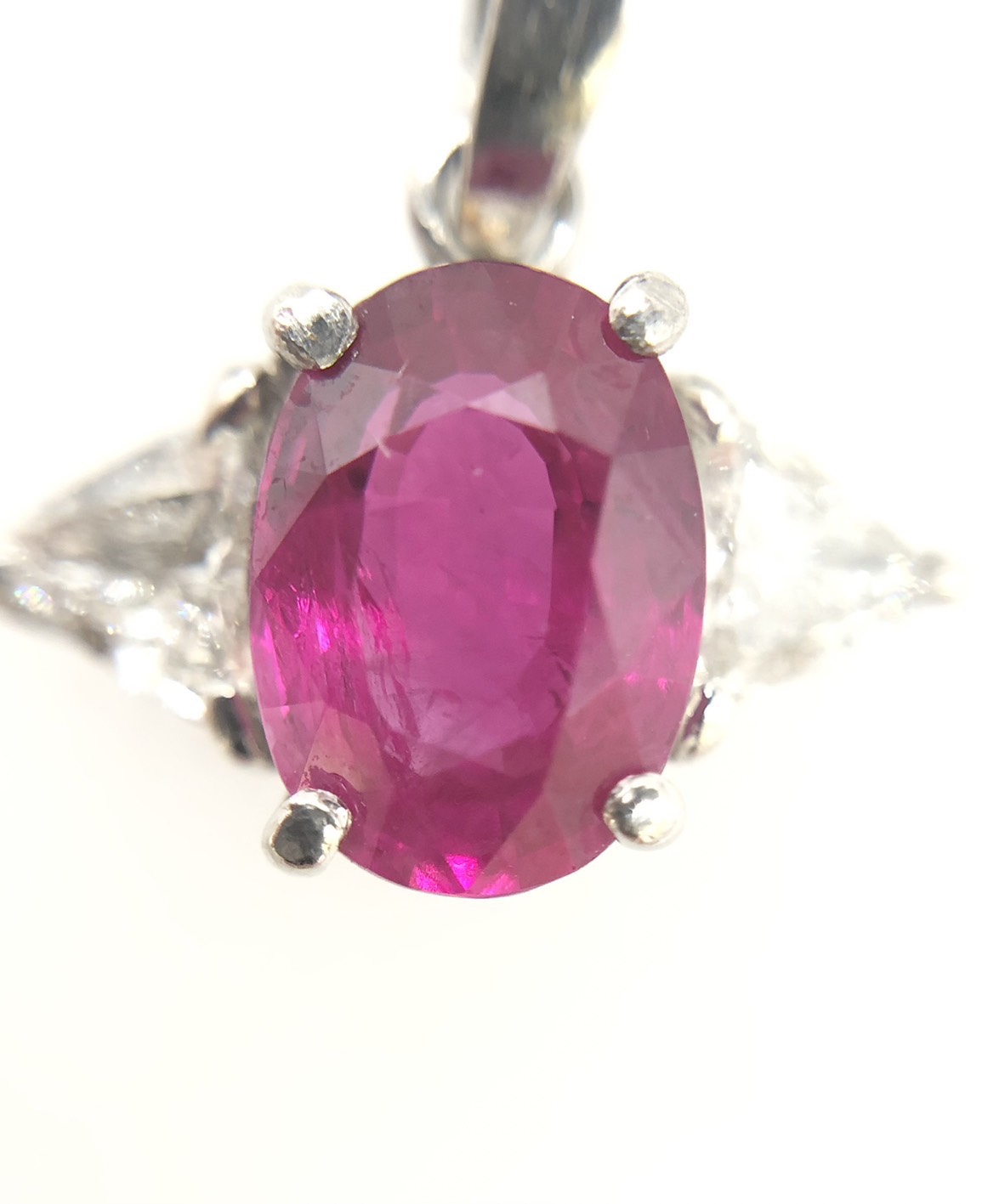 【ZA-101】トップ