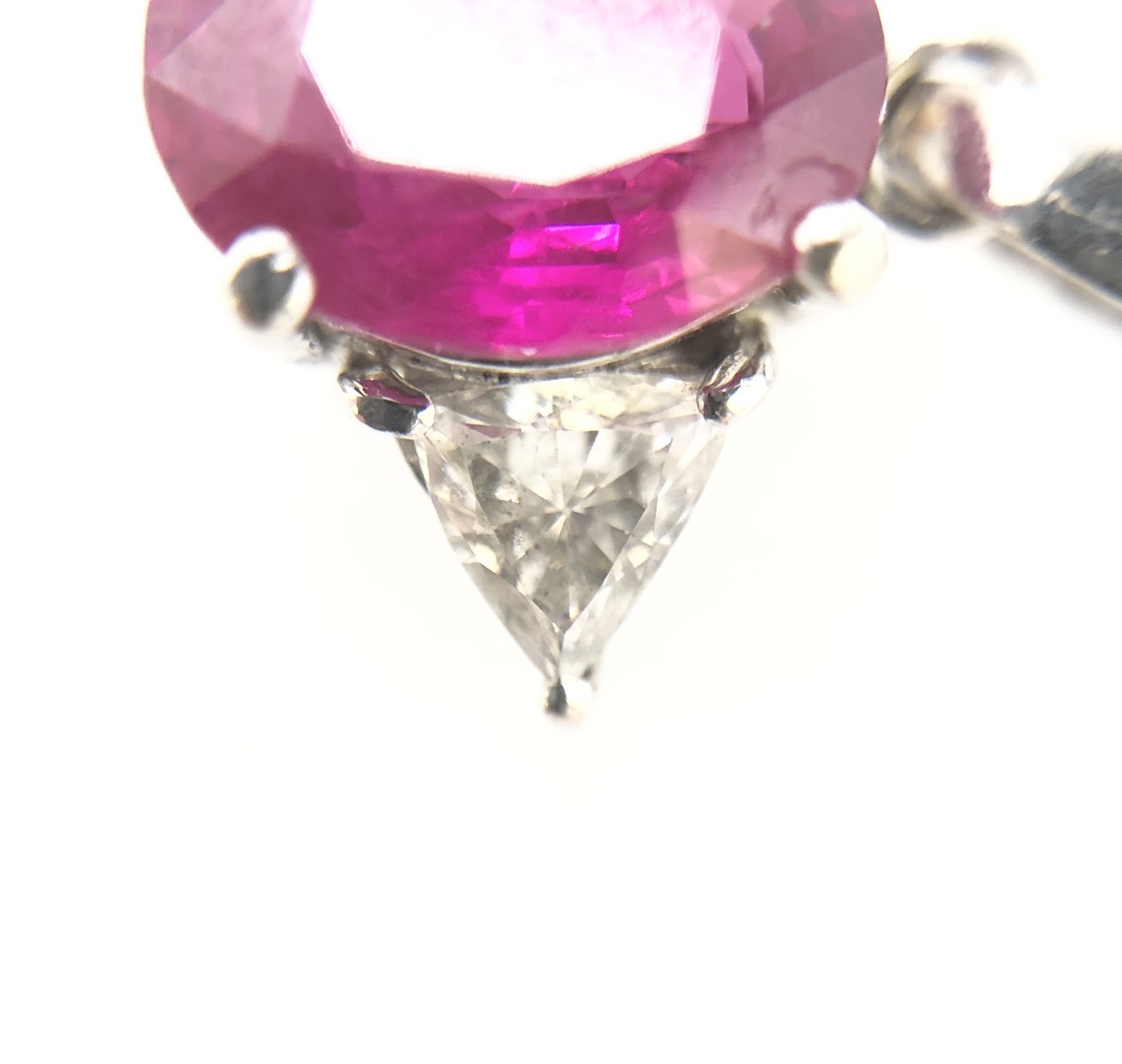 【ZA-101】トップ