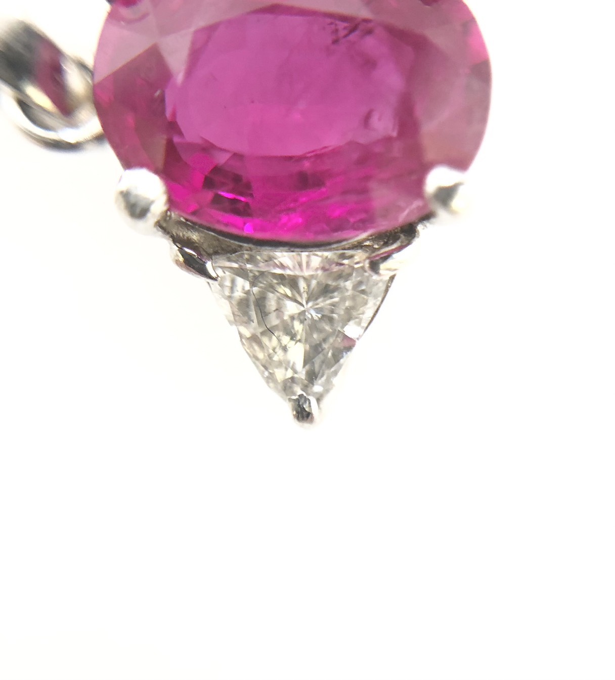 【ZA-101】トップ