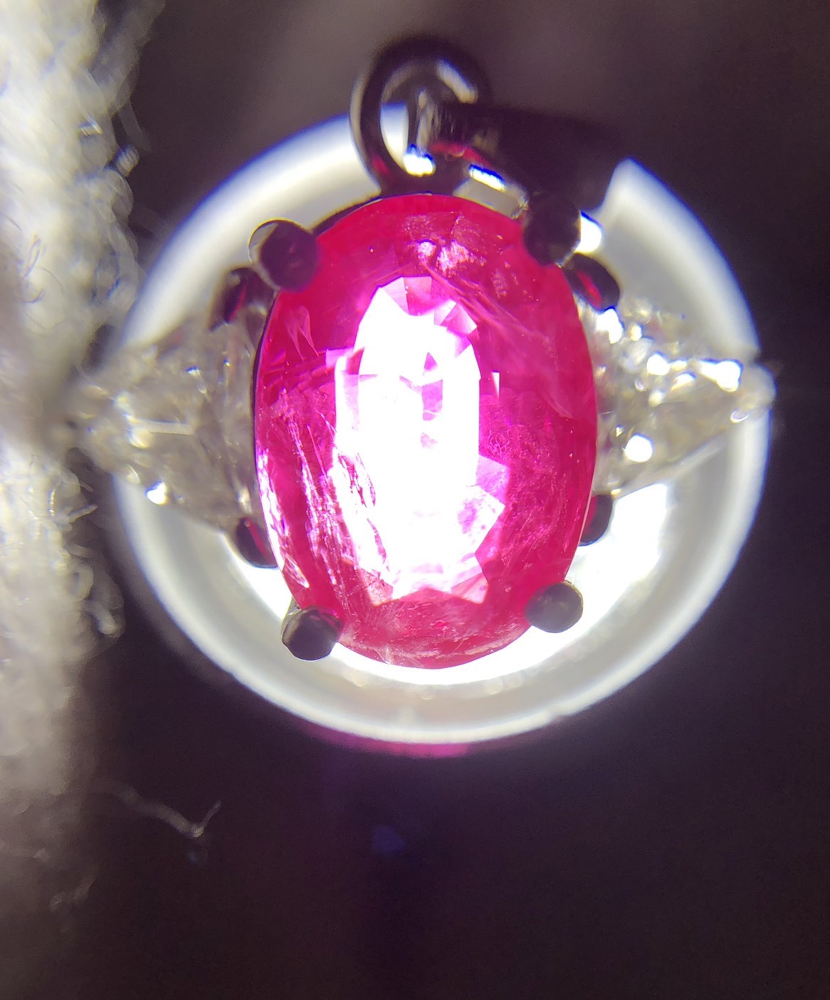 【ZA-101】トップ