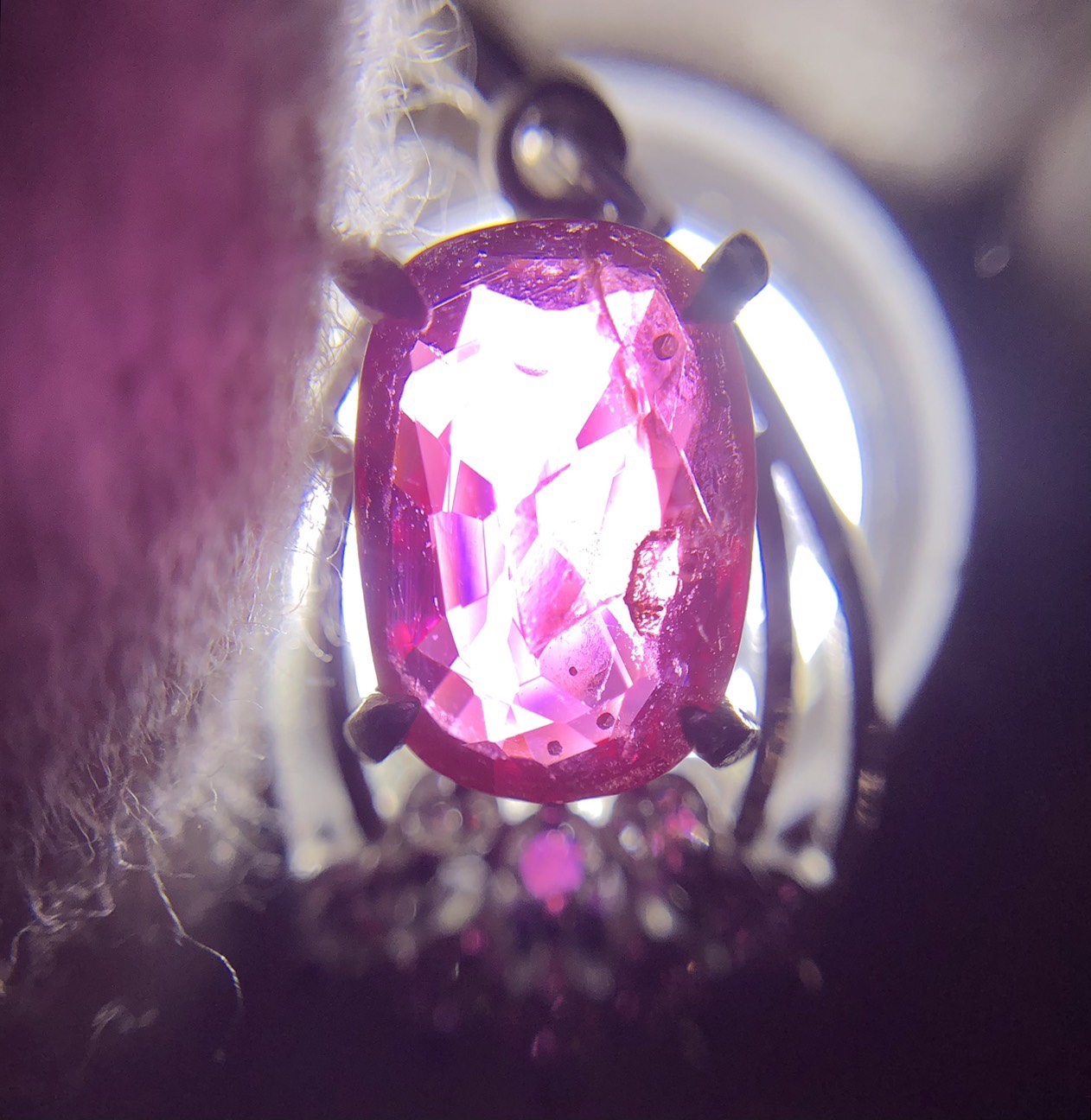 【ZA-59】トップ