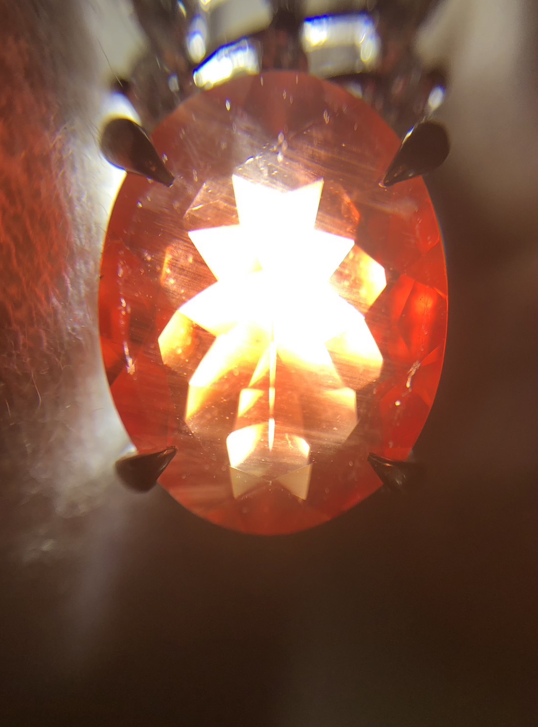 【ZA-74】トップ