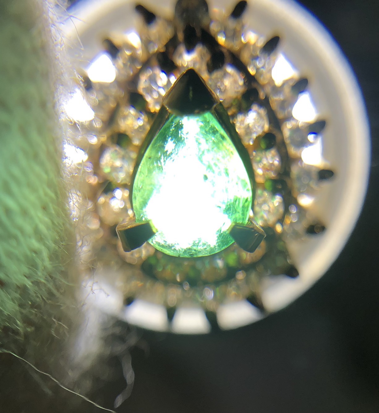 【ZA-87】トップ