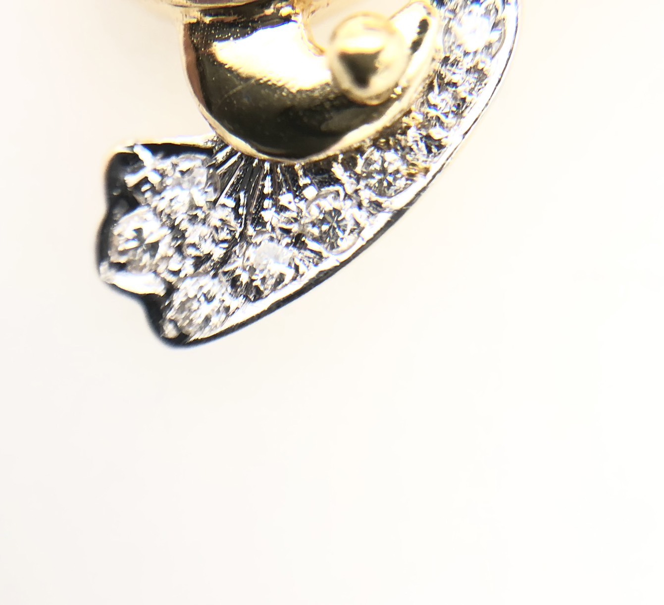 【ZA-88】トップ